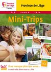 minitrips_ete_2010
