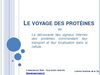 Diaporama de présentation : le voyage des protéines