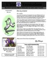 1iere publication 10 Iris Versicolore