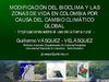 Modificación Zonas de Vida y Bioclima por Cambio Climático en Colombia