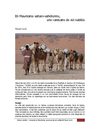 Une caravane de sel oubliée en Mauritanie