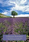 Carte postale - Marque page