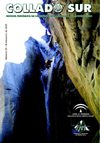 revista24