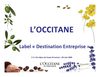 Présentation de l'entreprise "l'Occitane en provence" 