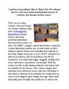 Looking to buy Maqui Berry? Beware online scams. Maqui berry is the world’s most potent antioxidant but...