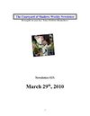 The Courtyard of Shadows Weekly Newsletter #4