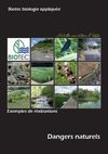 Réalisations cartes dangers naturels