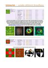 GODSinFUN - music without frontiers