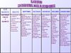 PLAN DE ESTUDIO