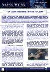 Guerre irrégulière