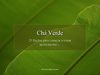 Chá Verde - Green Tea