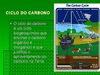 Ciclo do carbono