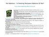 Pot Addiction - Is Smoking Marijuana Addictive Or Not?
