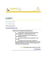 What is the GAINMORE™ Leadership Advantage