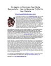 Strategies to Dominate Your Niche Successfully - How to Generate Traffic For Your Website
