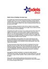Models: Beware of Modeling Convention Scams