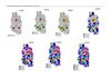 Carte des communes eligibles a 50 