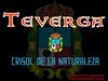 TEVERGA.pps