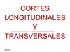CORTES LONGITUDINALES Y TRANSVERSALES