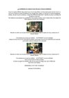 ZM FINANCE PROJECT
