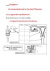 4ème PartieB ChapitreI