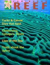 Caribbean REEF Magazine - Premiere Issue 