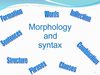 portfolio morphology and syntax