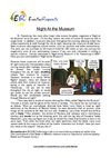 Night At the Museum (English Topic)