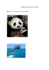 Animais em vias de extinção - professora Manuela Carneiro