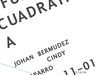 FUNCIÓN CUADRATICA