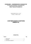 Monografia De Contabilidade E Auditoria Ambiental