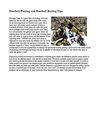 Football Playing and Football Betting Tips