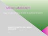 amar al medio ambiente