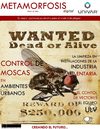 UNIVAR: Cuarta Edición ESPECIAL INSECTOS VOLADORES