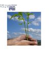 IMPACTO AMBIENTAL