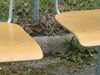 A VENDRE EN BLOC 30 CHAISES ET PUPITRES D'ECOLE