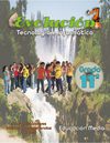 Serie Tareaescolar Evolución Grado Undécimo