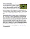 Fantasy Football Cheat Sheets