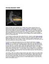 Fantasy Baseball 2009
