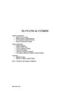 El_culto_al_cuerpo