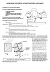 5eP3Polygeolexpress