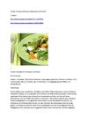 Kochen mit Selzer-McKenzie SelMcKenzie 11-06-2010