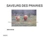produits fermiers à Beauvais