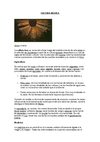 LOS INCAS Y SU CULTURA