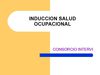 INDUCCION SALUD OCUPACIONAL