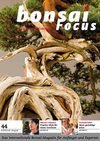 Bonsai Focus DE #44 Preview