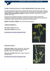 Flora i vegetació de la conca hidrogràfica del riu Algar (Alacant)