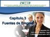 CAPITULO 3 - FUENTES DE EMPLEO
