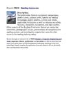 Roofing Contractor
