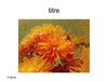 test 34